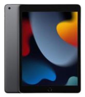 Apple iPad 9 256GB WiFi Space Gray (2021)-1527073