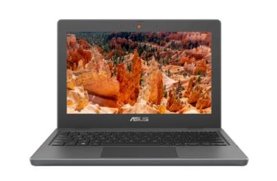 ASUS BR1100FKA