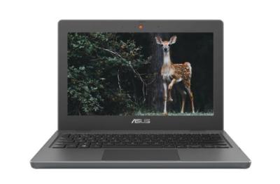 ASUS BR1100FKA