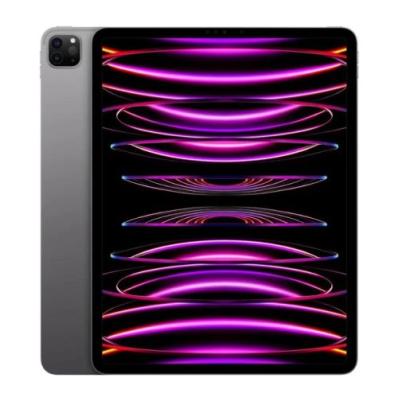 Apple iPad Pro 12.9 (M2, 2022) Wi-Fi 128GB Space Gray