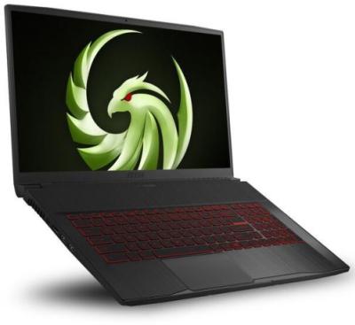 MSI Bravo 17 A4DDR-021DE