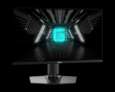 MSI G255PF E2