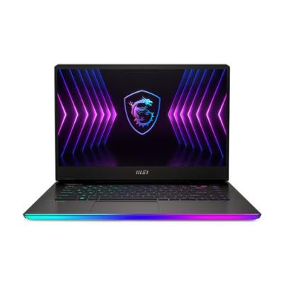MSI Raider GE67HX 12UHS-075FR