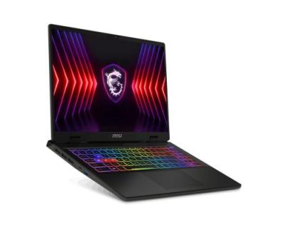 MSI Sword 16 HX B14VGKG-606FR