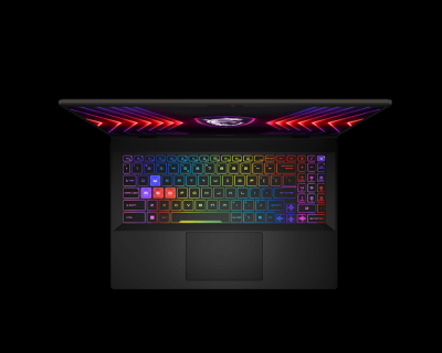 MSI Sword 16 HX B14VGKG-606FR