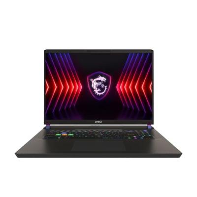 MSI Vector 17 HX A14VHG-643NL