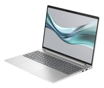 HP EliteBook 665 G11