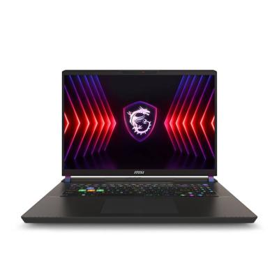 MSI Vector 17 HX A13VIG-603FR