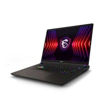 MSI Vector 17 HX A13VIG-603FR