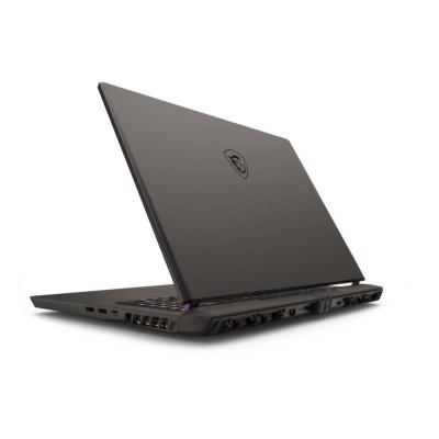 MSI Vector 17 HX A13VIG-603FR