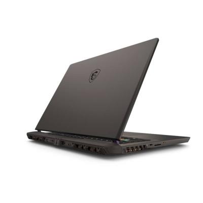MSI Vector 17 HX A13VIG-603FR