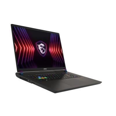 MSI Vector 17 HX A14VHG-1008DE