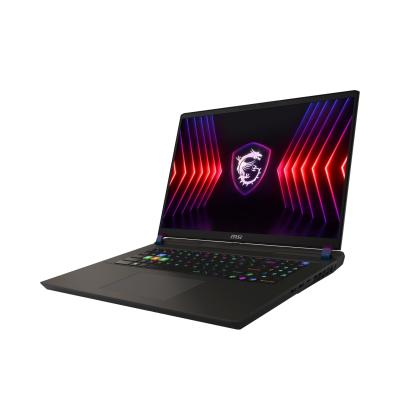 MSI Vector 17 HX A14VHG-1008DE