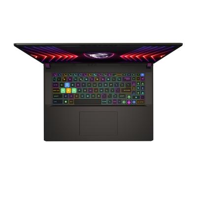 MSI Vector 17 HX A14VHG-1008DE