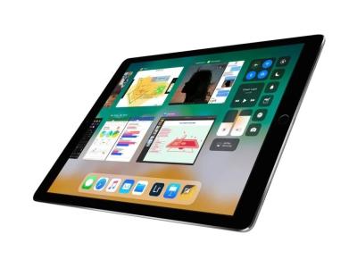 Apple iPad PRO 10,5 (1. Generace) 256GB Space Gray Wi-Fi + Cellular