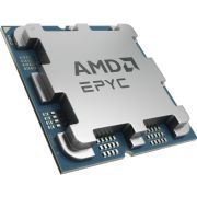 AMD EPYC™ 4545P, procesor