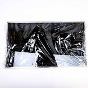 LG 17,3" LCD displej LP173WD1 (TL)(C2)