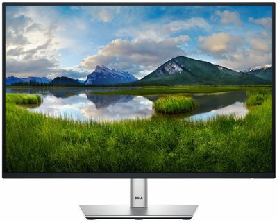 24.07'' DELL Professional P2425E