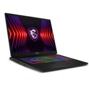 MSI Sword 17 HX B14VGKG 043DE